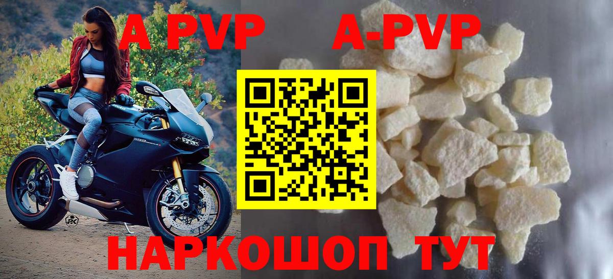 A PVP СК КРИС Санкт-Петербург