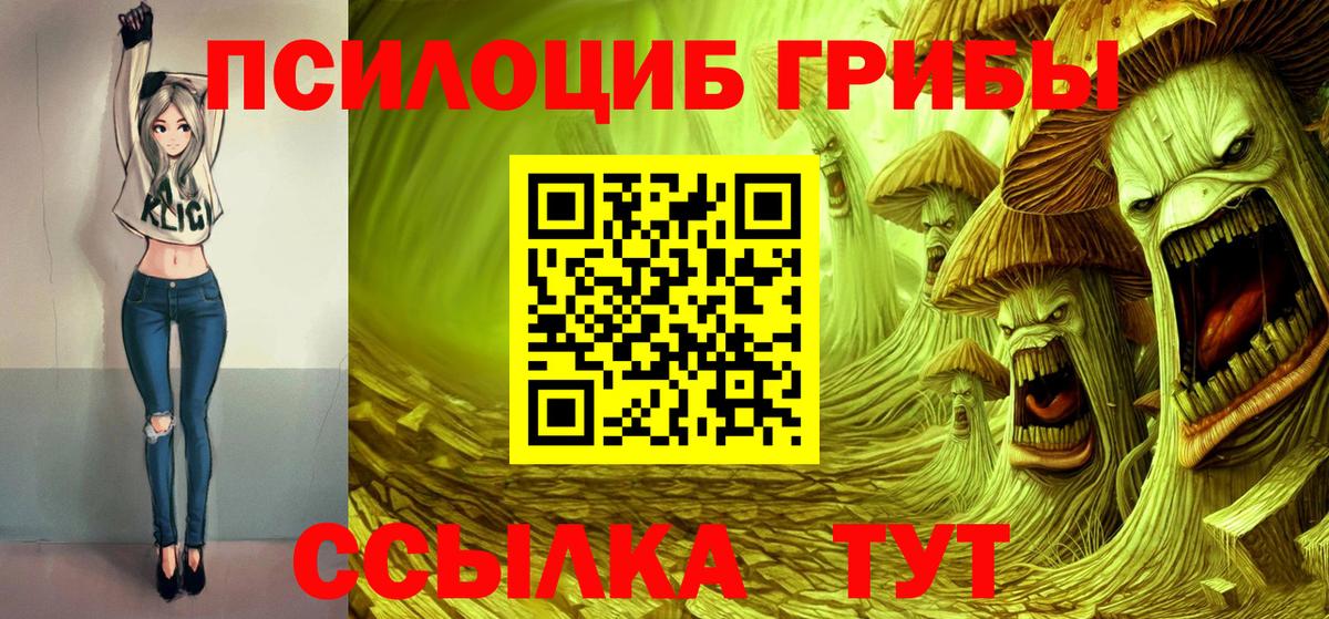 Псилоцибиновые грибы MAGIC MUSHROOMS Санкт-Петербург